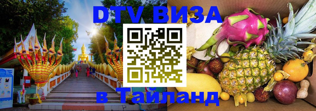 Оформление DTV визы под ключ: стоимость и тарифы, только загранпаспорт - 